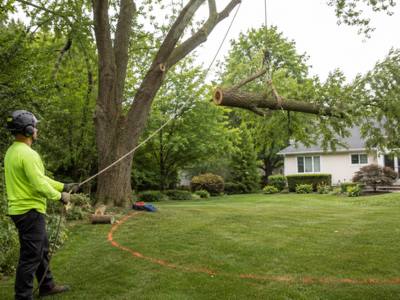 Cut section lowered on a rigging line beside a house