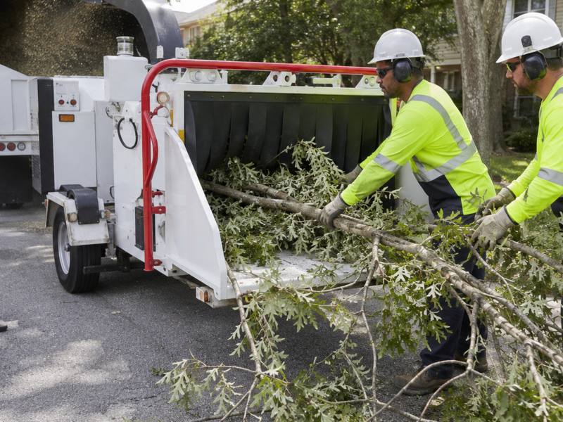 Grinder working a stump on open ground beside a lane